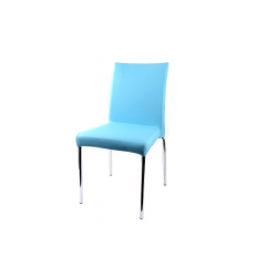 Chameleon Aqua Chair