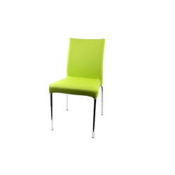Chameleon Green Chair
