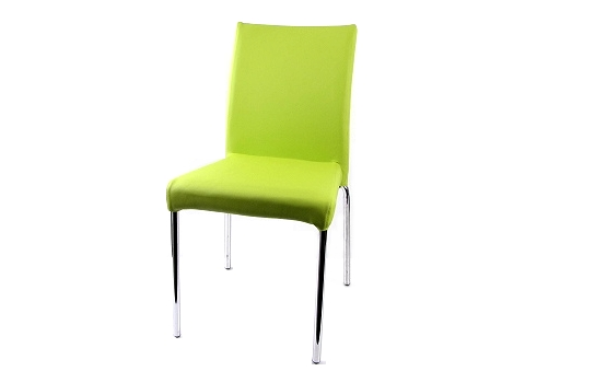 Chameleon Green Chair