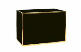 Bar Gold Frame with Black Plexi 48" x 24"
