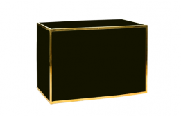 Bar Gold Frame / Black Plexiglass 48" x 24"