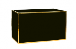 Bar Gold Frame with Black Plexi 72" x 24"