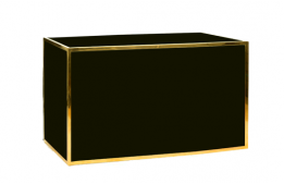Bar Gold Frame / Black Plexiglass 72" x 24"