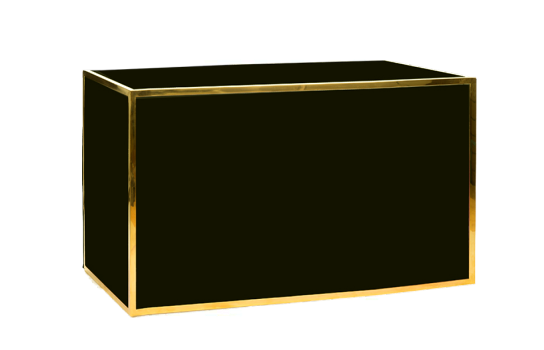 Bar Gold Frame with Black Plexi 72" x 24"
