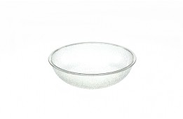 Salad Plastic Bowl 10"