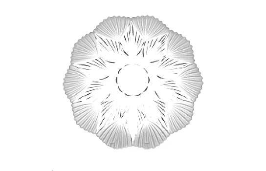 Royal Centerpiece Plate Clear