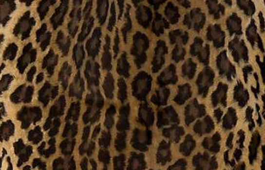 Chair Cushion Versailles Leopard