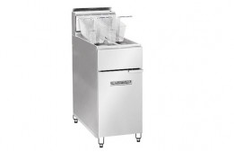 Fryer Floor Model Propane