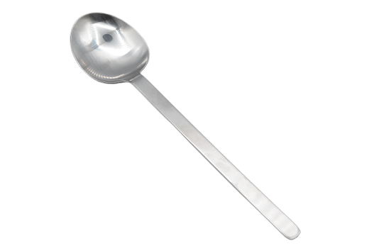 Serving Spoon Silver 12"