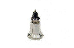 Salt Silver Shaker