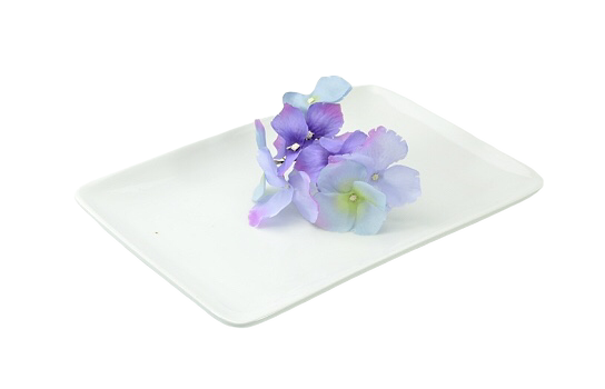 Rectangle White Plate Nuvo 12" x 8"