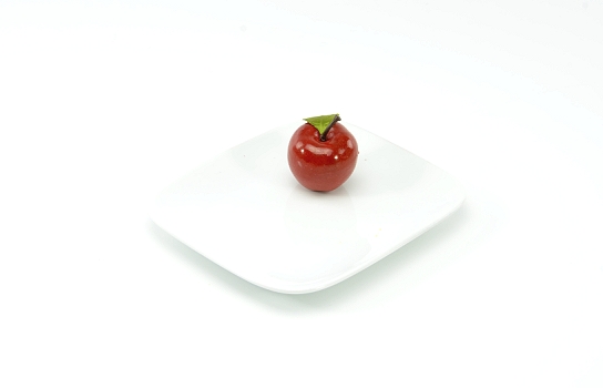 Dessert and Salad Plate Rectangle 8" x 6.75"