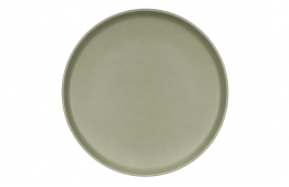 Stoneware Sage Dinner Plate 10.5"
