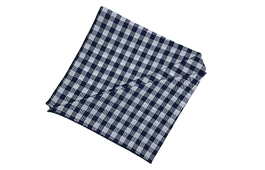 Napkin Blue & White Check