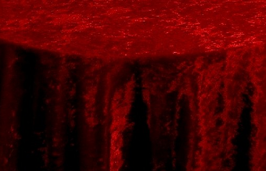 Tablecloth Panne Red Dark Velvet 120" Round