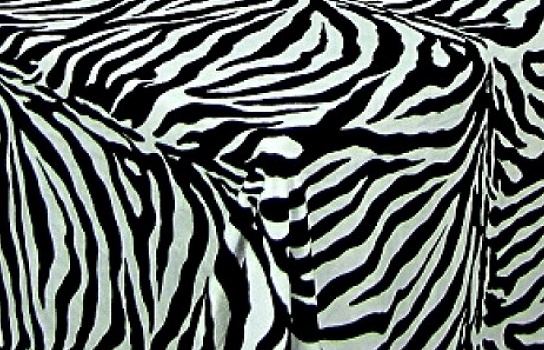 Tablecloth Zebra 60" Square