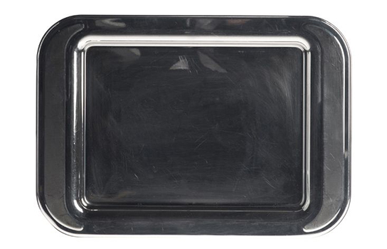 Stainless Steel Tray 12" x 17"